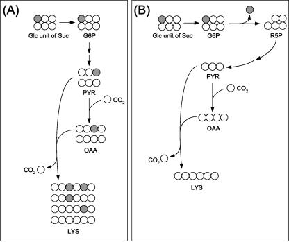 FIG. 3.