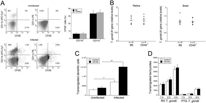 FIG 5
