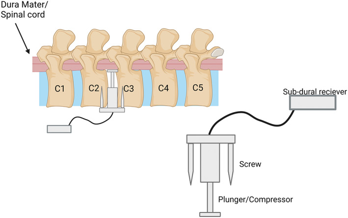 FIGURE 9