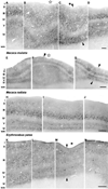 Fig. 12