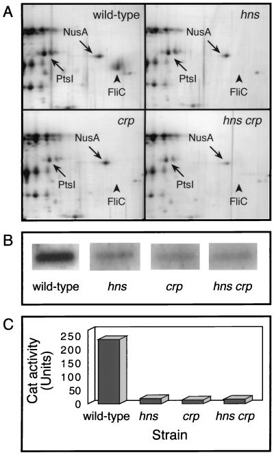 FIG. 1