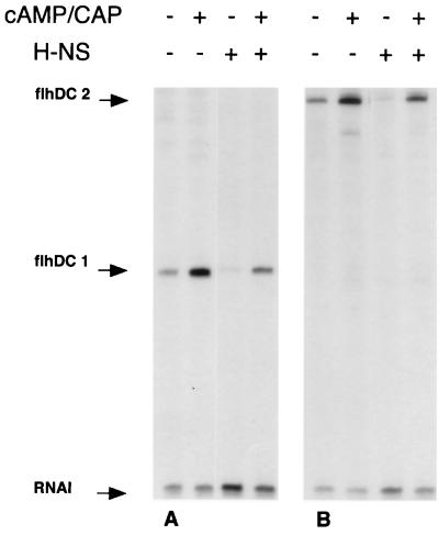 FIG. 6