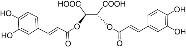 Chicoric Acid Chemistry Distribution And Production Pmc