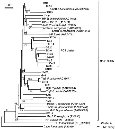 FIG. 4.