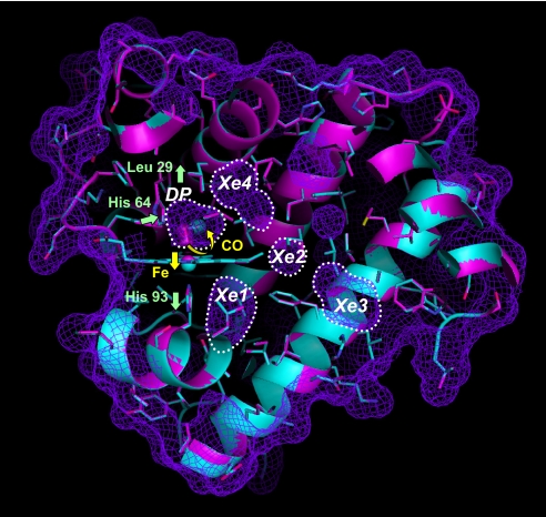 Fig. 1.