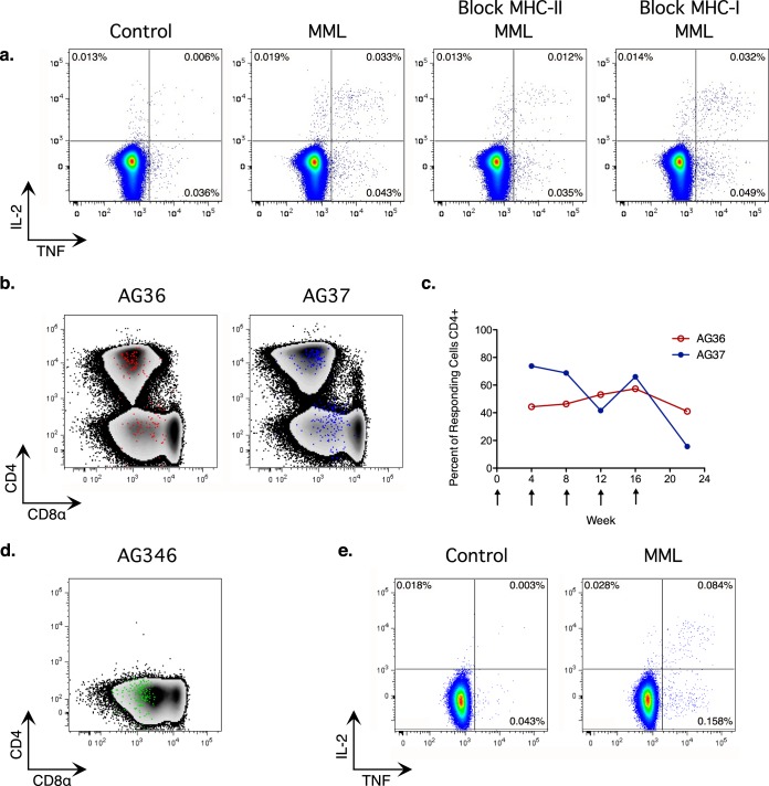 FIG 4