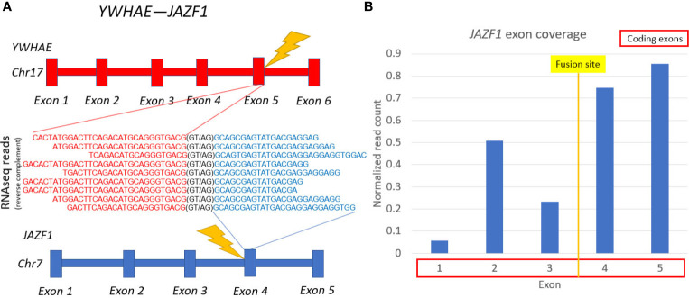 Figure 2