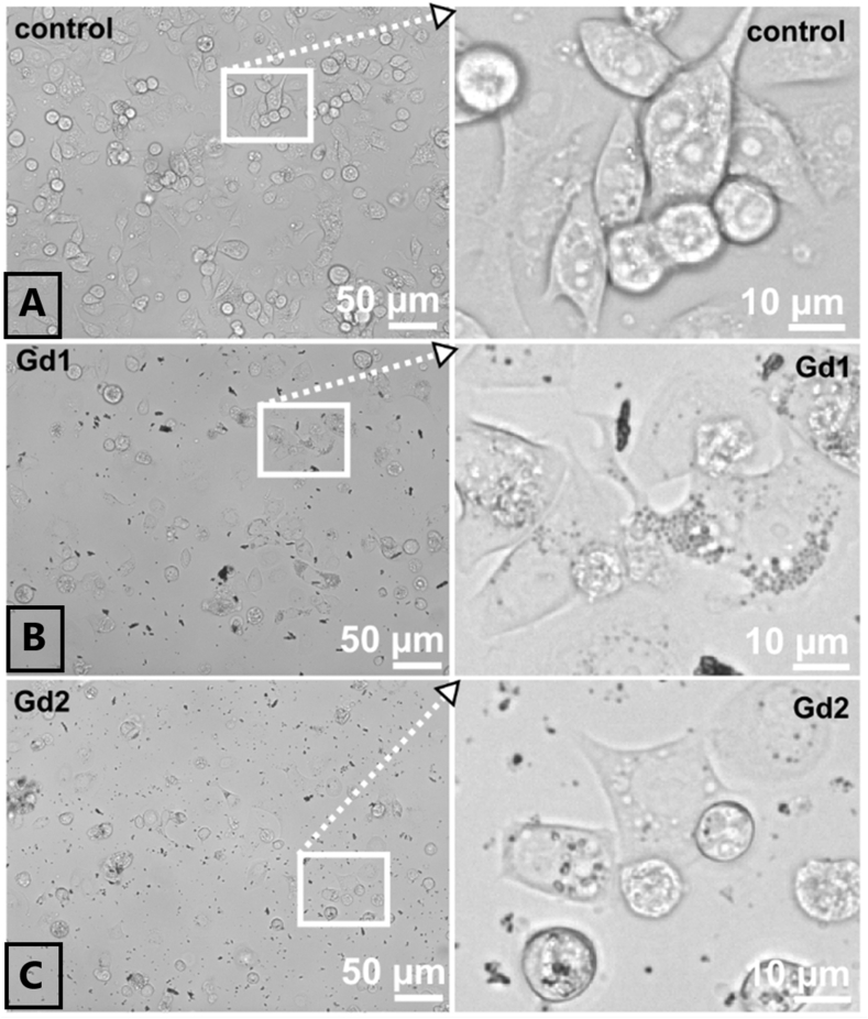 Fig. 10