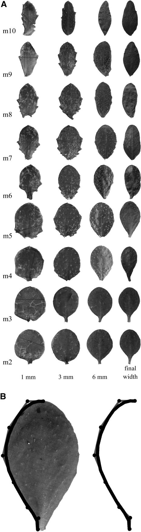 Figure 4.