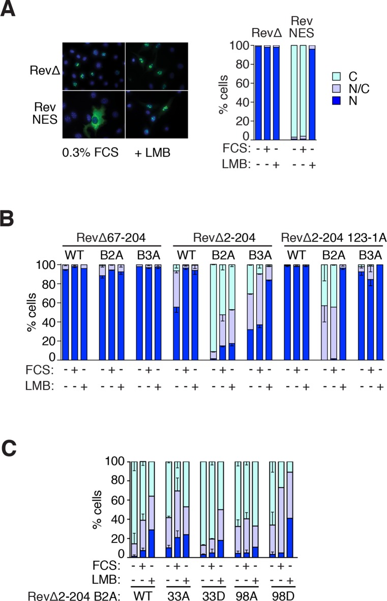 Figure 5—figure supplement 1.