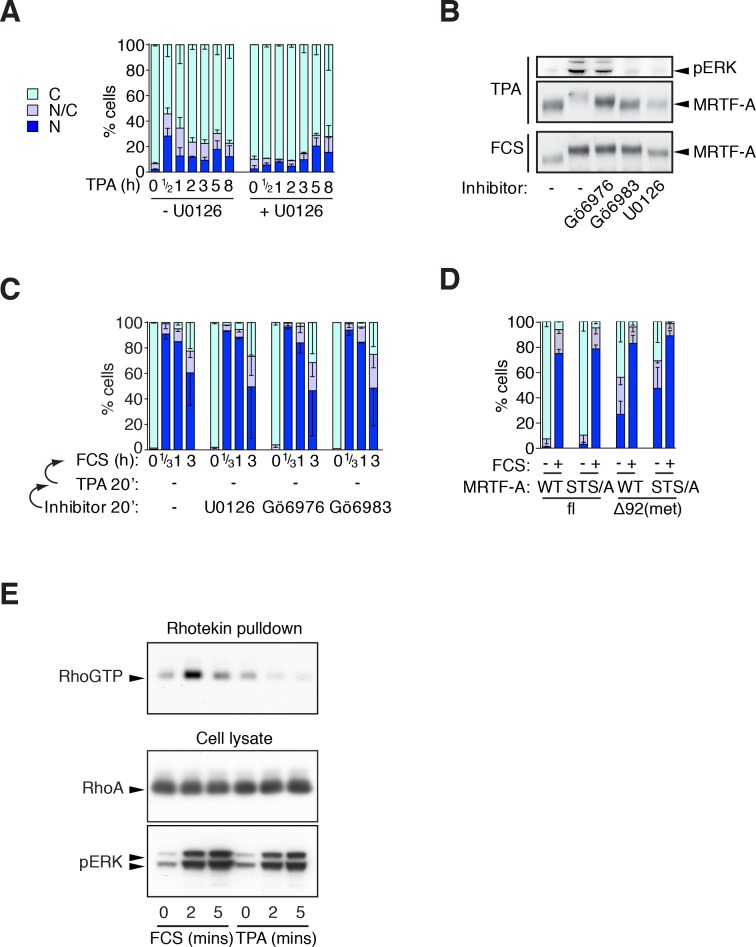 Figure 3—figure supplement 1.