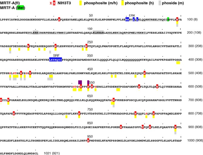 Figure 2—figure supplement 1.