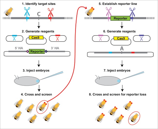 Figure 4.