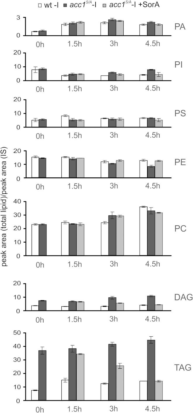 Figure 4