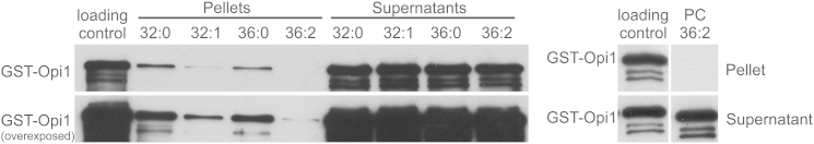 Figure 7