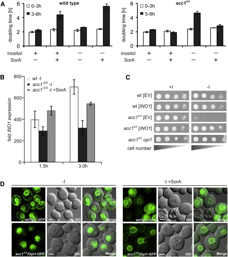 Figure 3