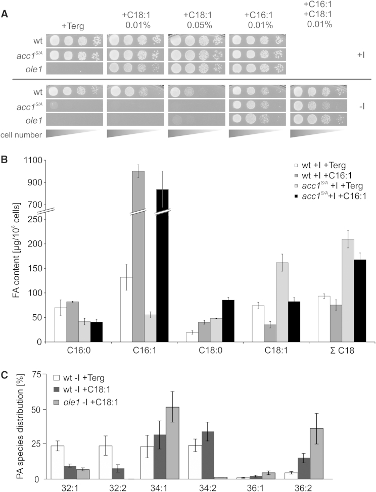 Figure 6