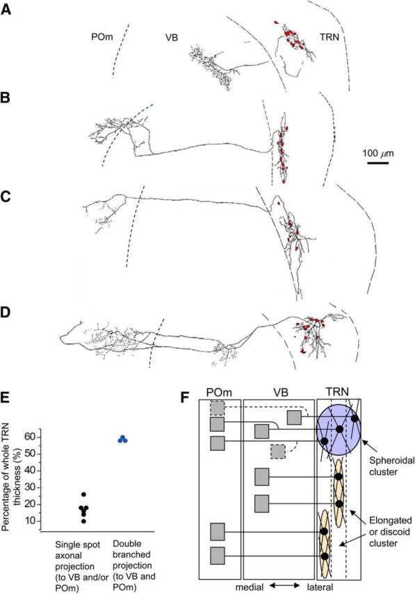 Figure 9.