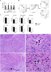 FIG 6