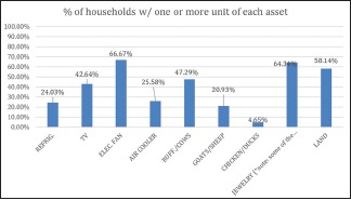 Graph 1