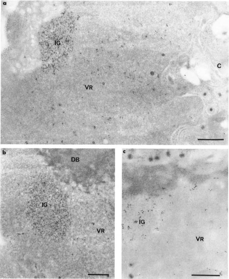 FIG. 7