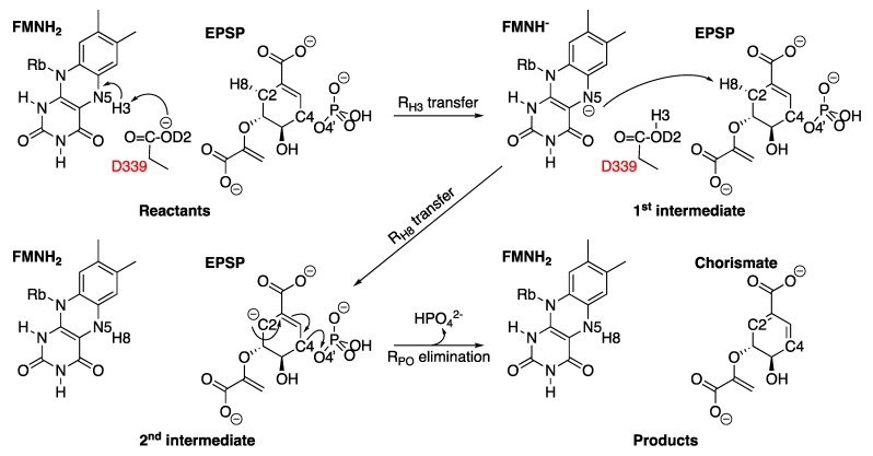 Figure 18