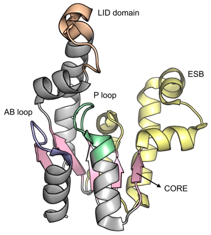 Figure 11