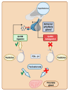 Figure 23