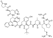 Figure 24