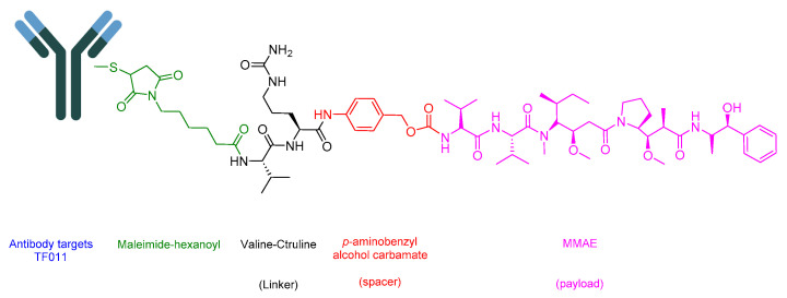 Figure 21