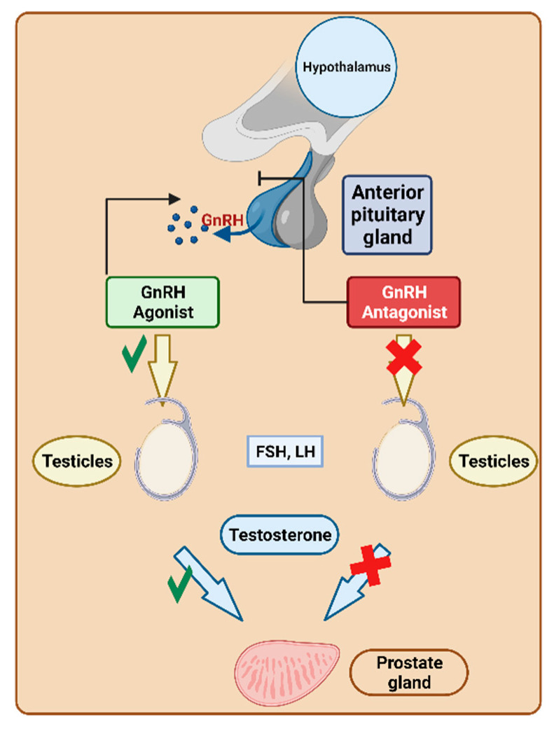 Figure 23