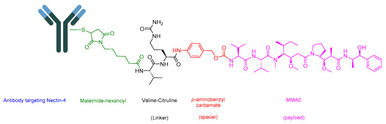 Figure 17