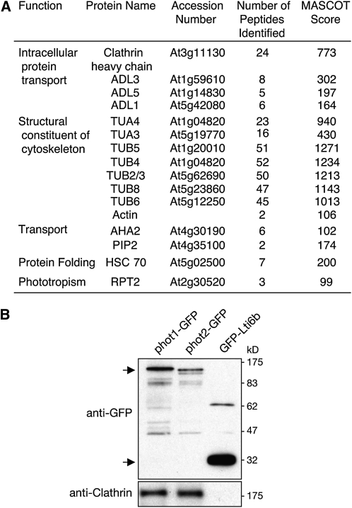 Figure 12.