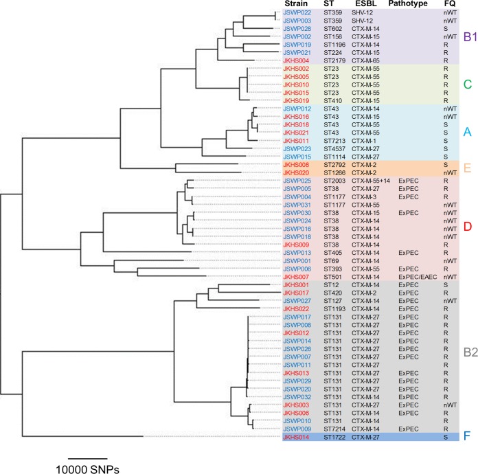 FIG 1