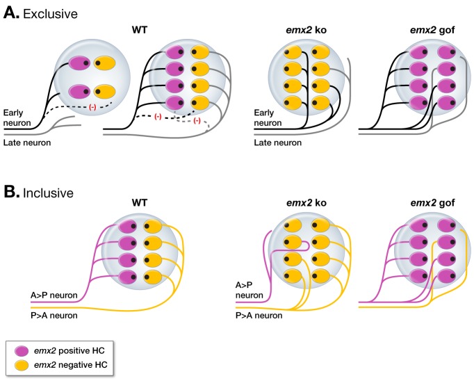 Figure 9.