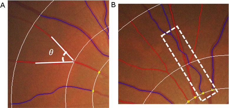 Fig 2