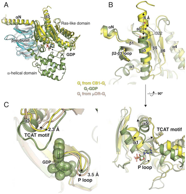 Figure 7.