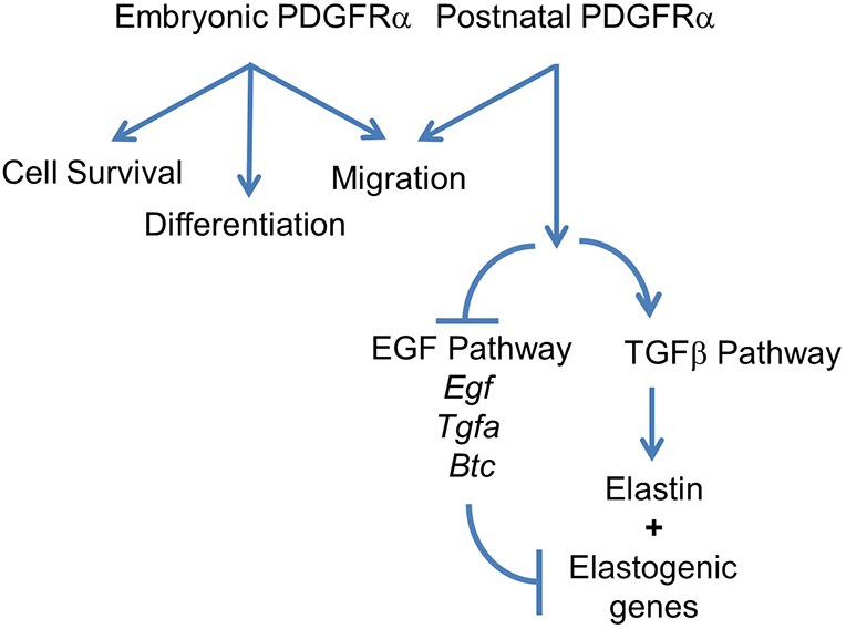 Fig. 10.