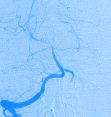 graphic file with name 67899_3_De_32_Fig3_HTML.jpg