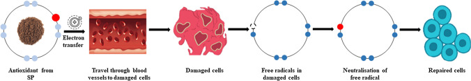 Fig. 6