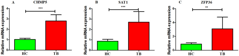 Fig. 10