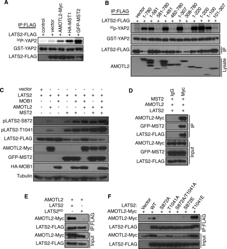 FIGURE 3: