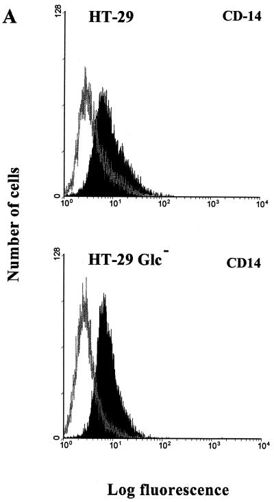 FIG. 5