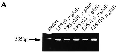 FIG. 6