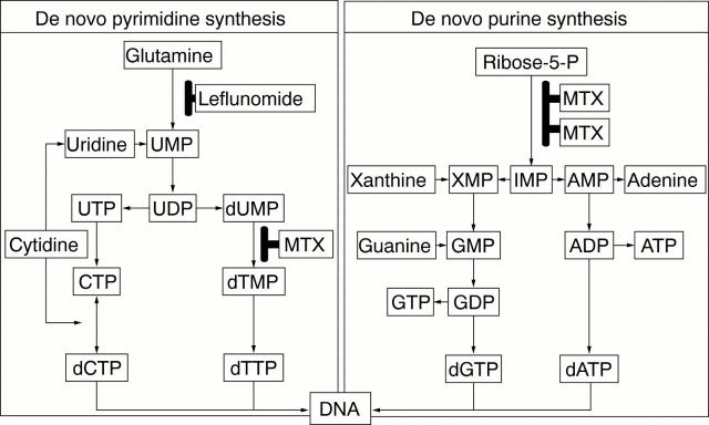 Figure 5  