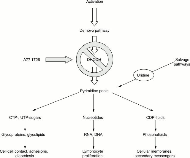 Figure 3  