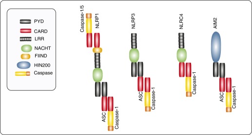 Figure 1.