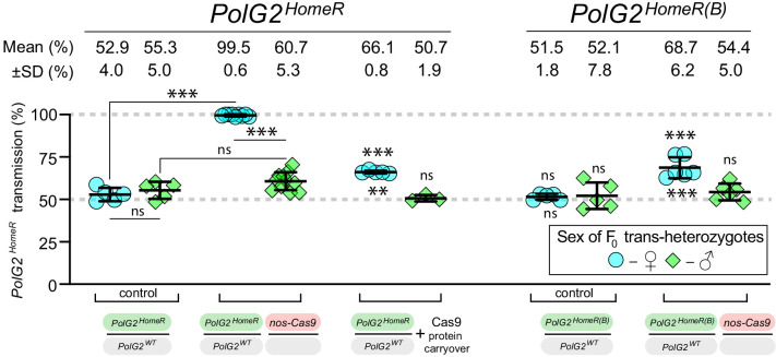 Figure 1—figure supplement 3.