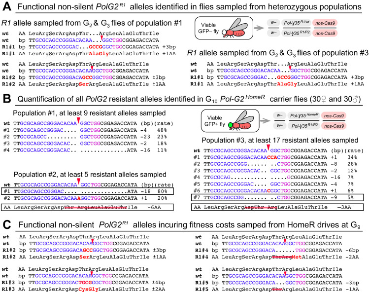 Figure 2—figure supplement 1.