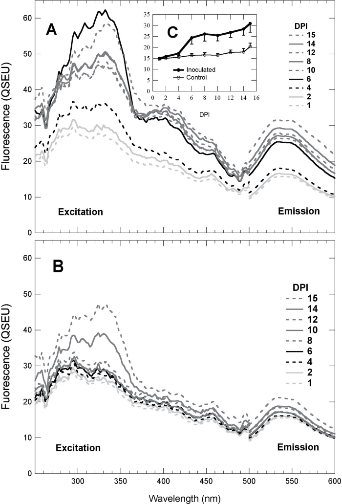 Fig. 3. 